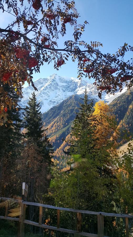 Gasthof Waldruhe Solda Luaran gambar